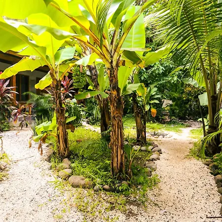 Cabinas Playa Surf Hostel-2